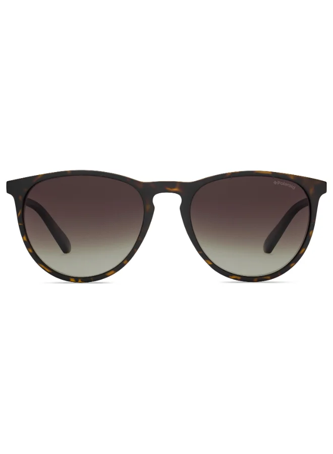 Polaroid Panthos Polaroid Sunglasses